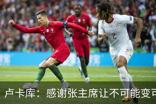 卢卡库：感谢张主席让不可能变可能 会全力帮国米
